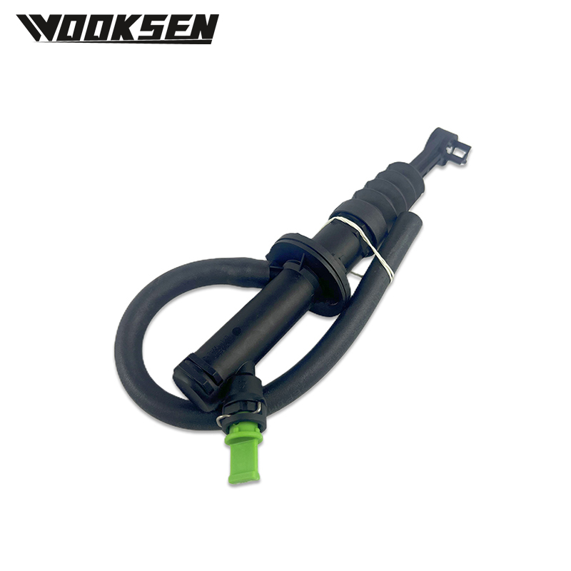 3066101808R 306109084R 306100018R 306109345R Master Cylinder